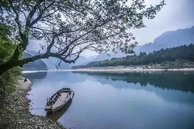 两会好声音丨雷光华:分级诊疗如何落地?关键在于出台“三方联动”举措