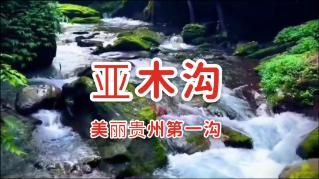 深圳曝内讧，沈梓捷与老板争吵！崔永熙或被交易，郭士强暴怒请辞