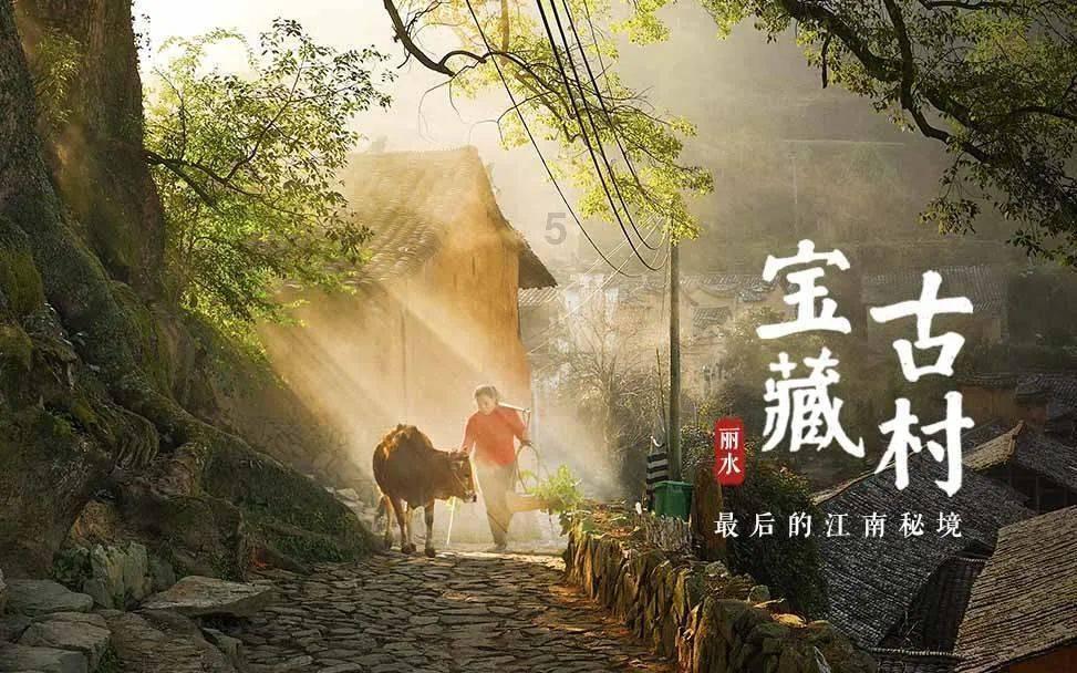 青海湖北岸：生态环境治理加快实施 物种数量稳中有增