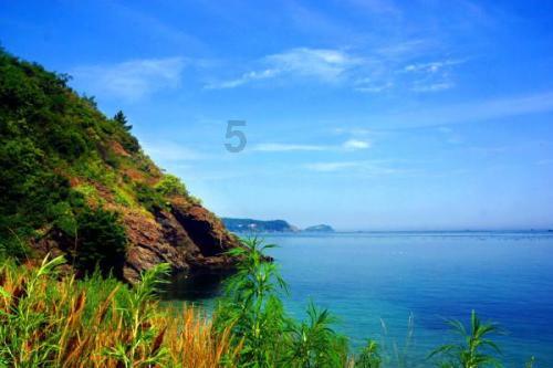 共享“棋”乐庆佳节