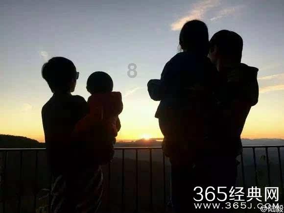 农业设备找不同