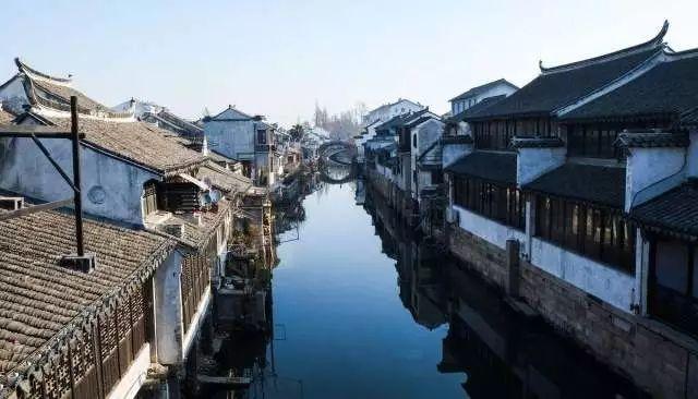 传说“千年人参会跑”，这是真的吗？老人告知背后原因游戏画面